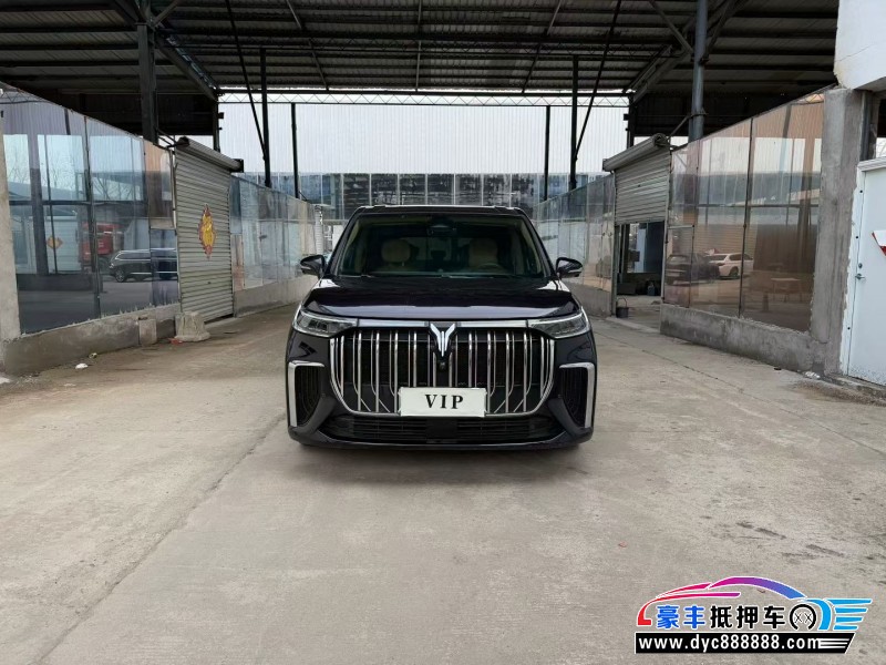 23年岚图梦想家MPV