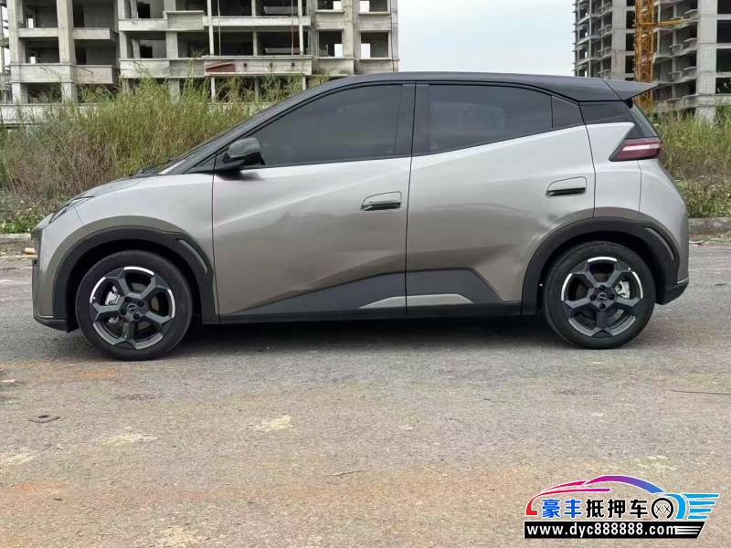 23年比亚迪海鸥轿车抵押车出售