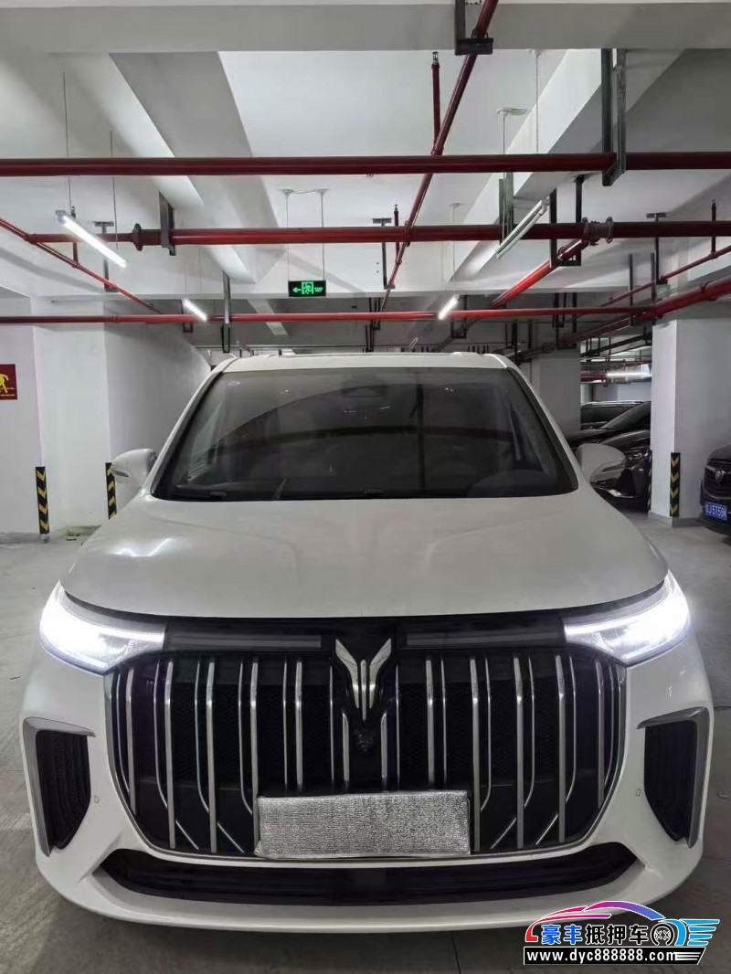 22年岚图梦想家轿车