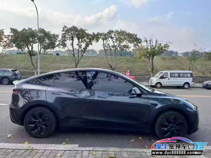 24年特斯拉Model Y轿车抵押车出售