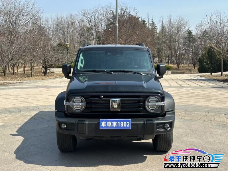 24年WEY坦克300轿车抵押车出售