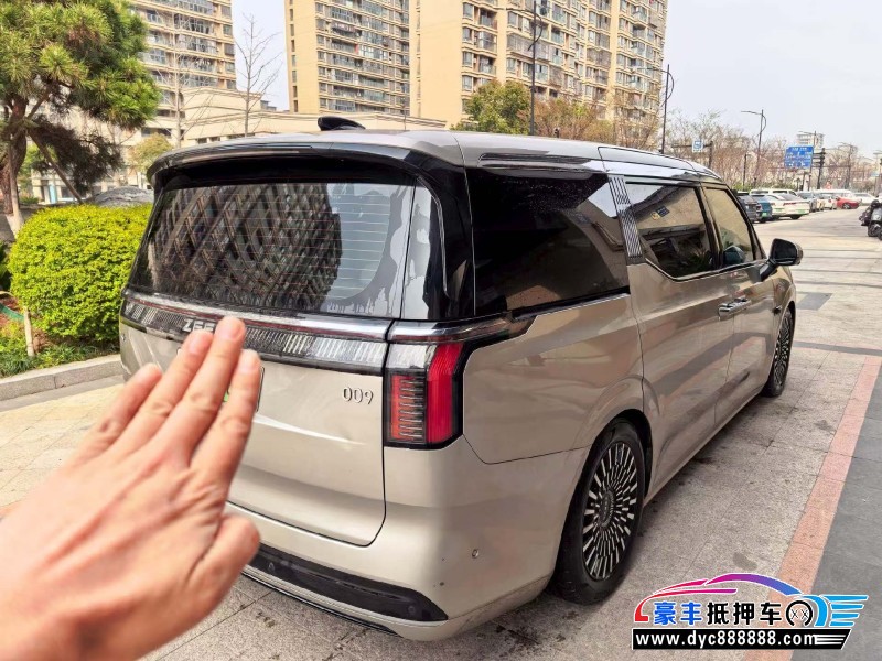 23年极氪009轿车抵押车出售