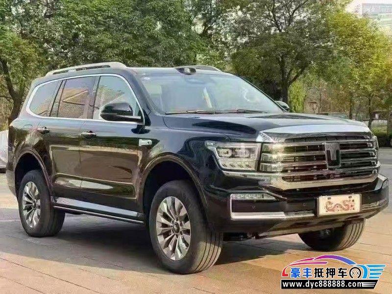 26年WEY坦克500轿车抵押车出售