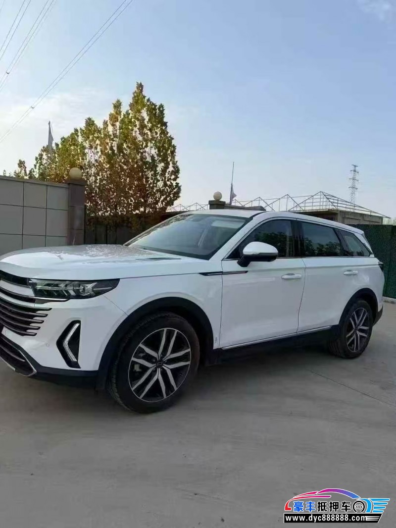 24年奔腾T99轿车抵押车出售