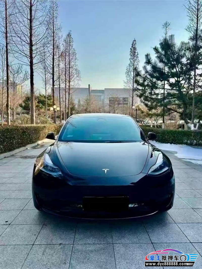 23年特斯拉MODEL 3轿车抵押车出售