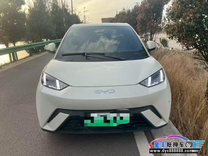 24年比亚迪海鸥轿车抵押车出售