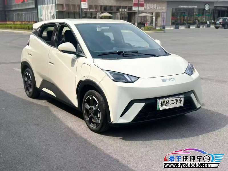 24年比亚迪海鸥轿车抵押车出售