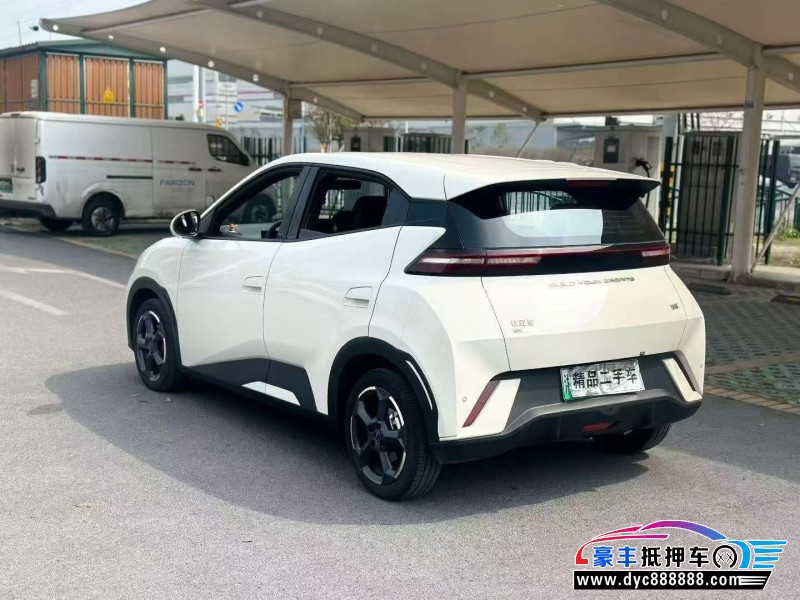 24年比亚迪海鸥轿车抵押车出售