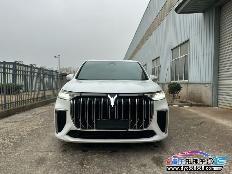 23年岚图梦想家轿车