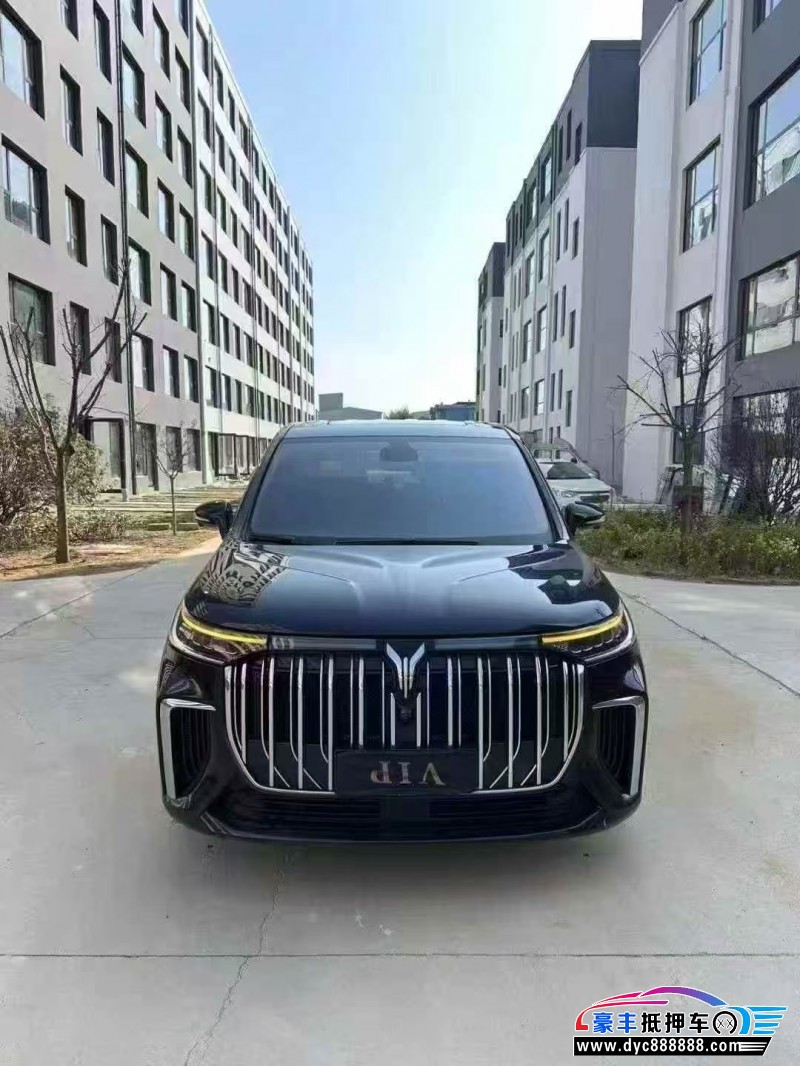 24年岚图梦想家轿车