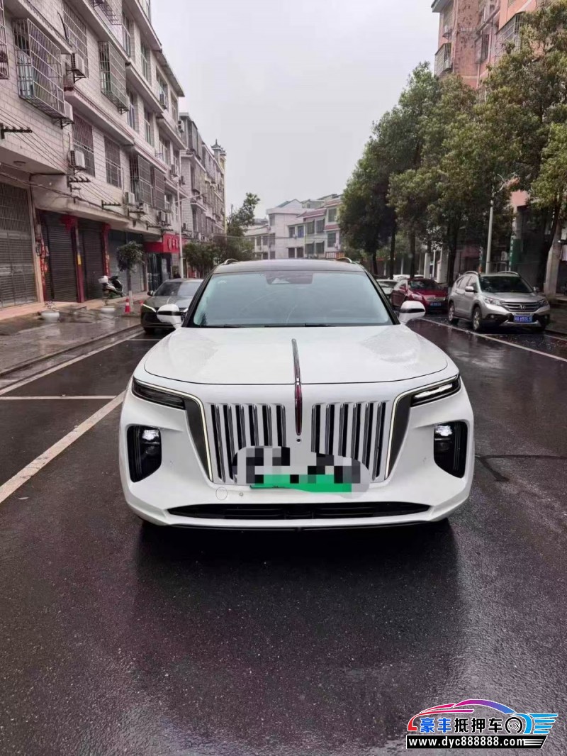 22年红旗E-HS9轿车抵押车出售