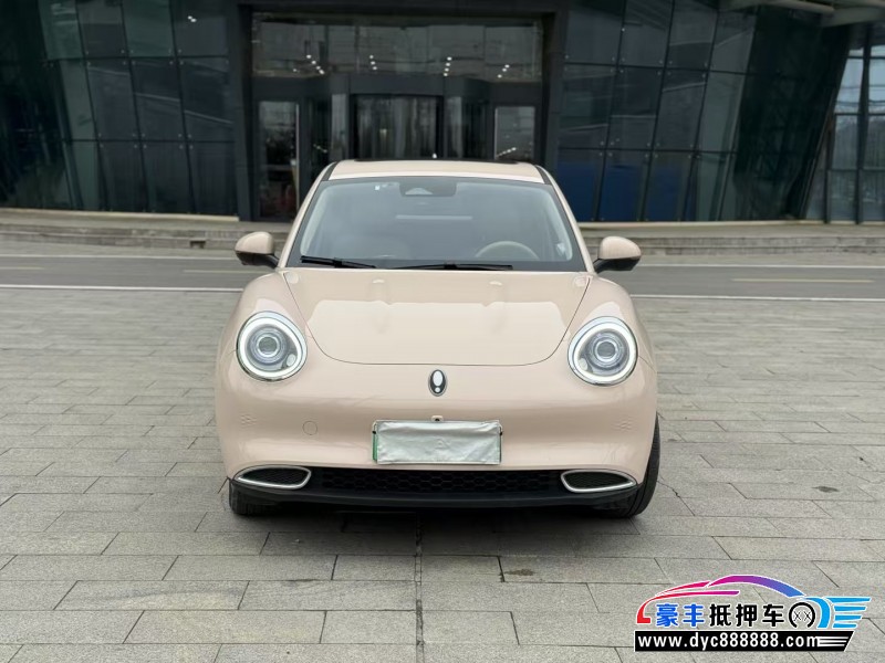 抵押车出售23年欧拉好猫轿车