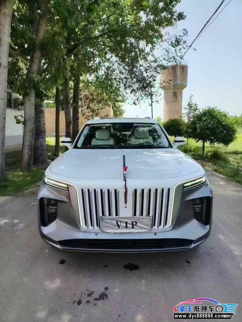 抵押车出售21年红旗E-HS9轿车