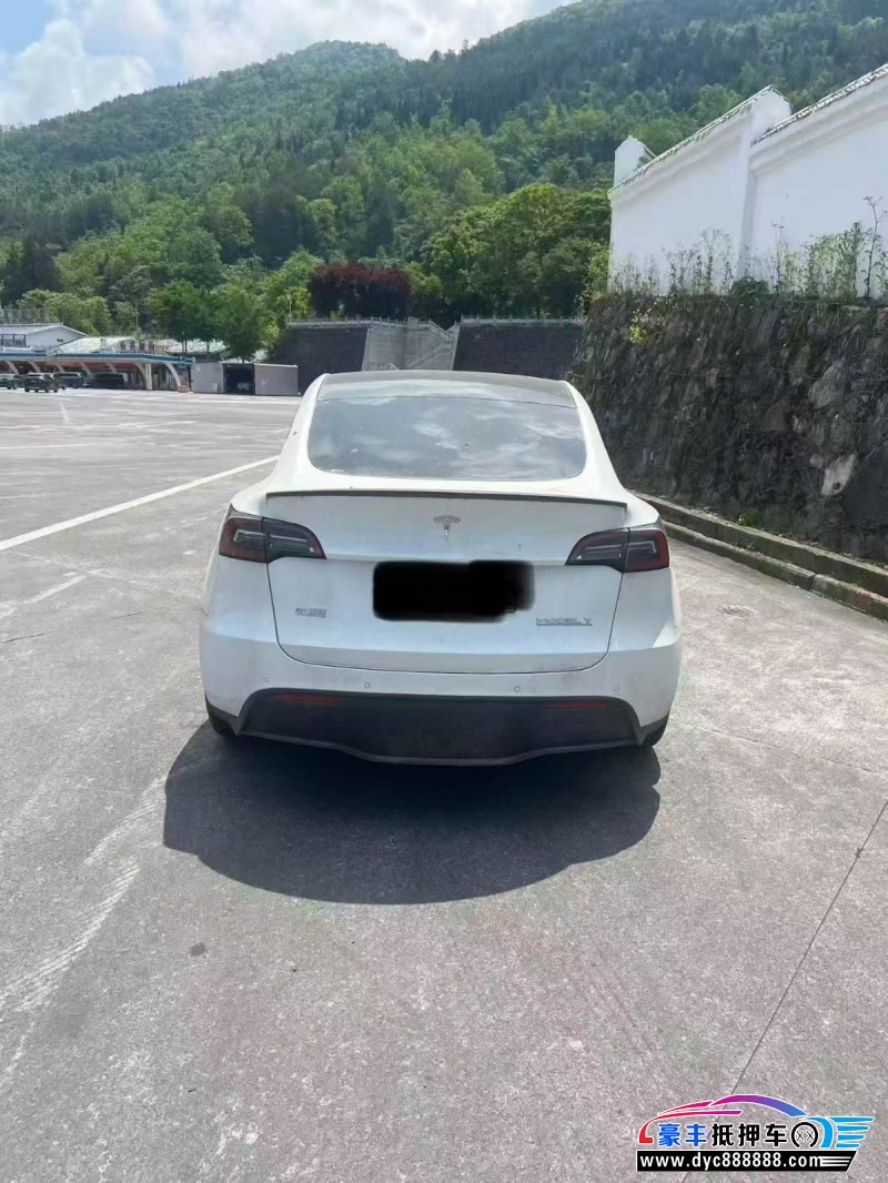23年特斯拉Model Y轿车抵押车出售