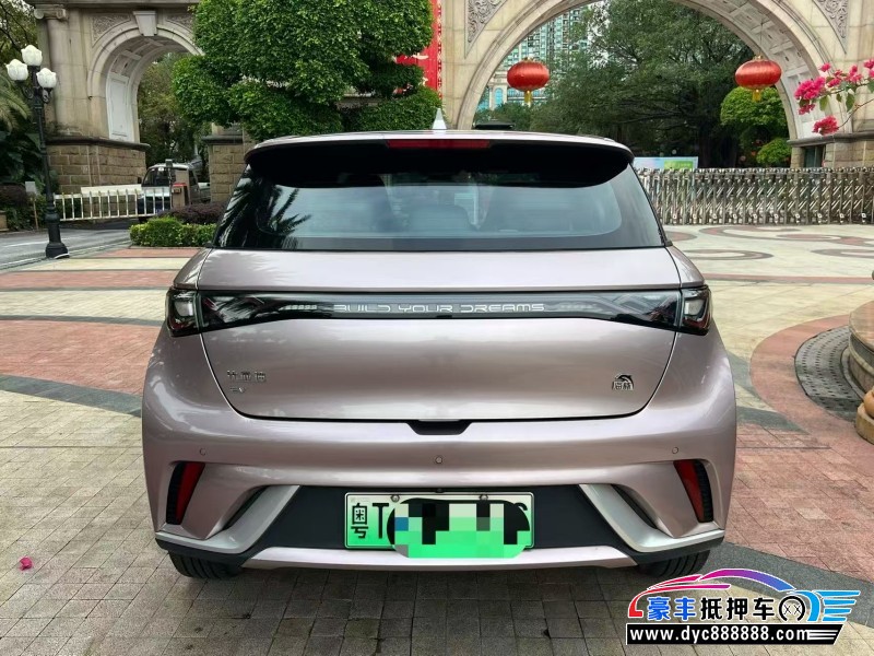 23年比亚迪海豚轿车抵押车出售