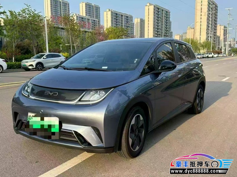 24年比亚迪海豚轿车