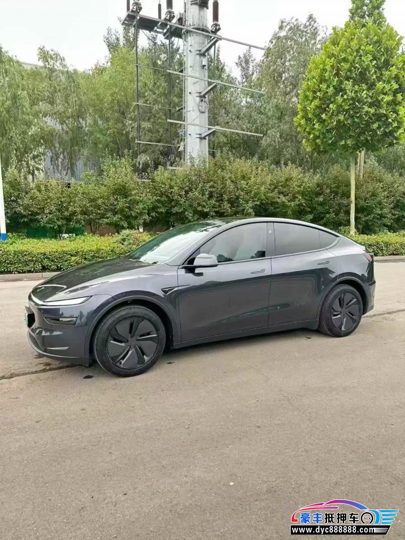 25年特斯拉Model Y轿车抵押车出售