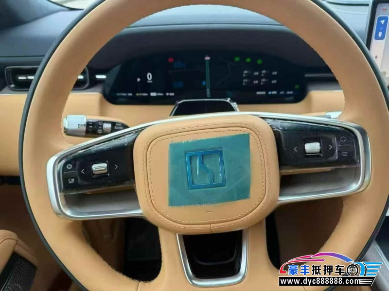 25年极氪9X轿车抵押车出售