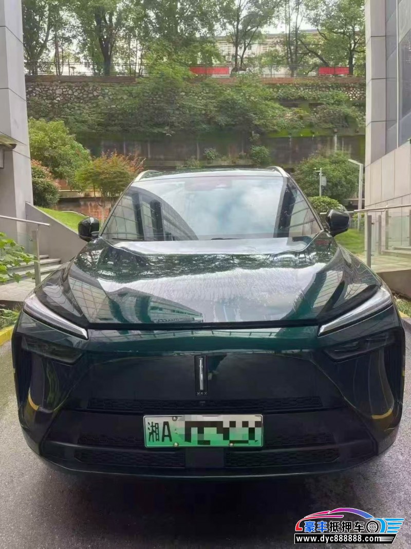 24年WEY蓝山轿车抵押车出售