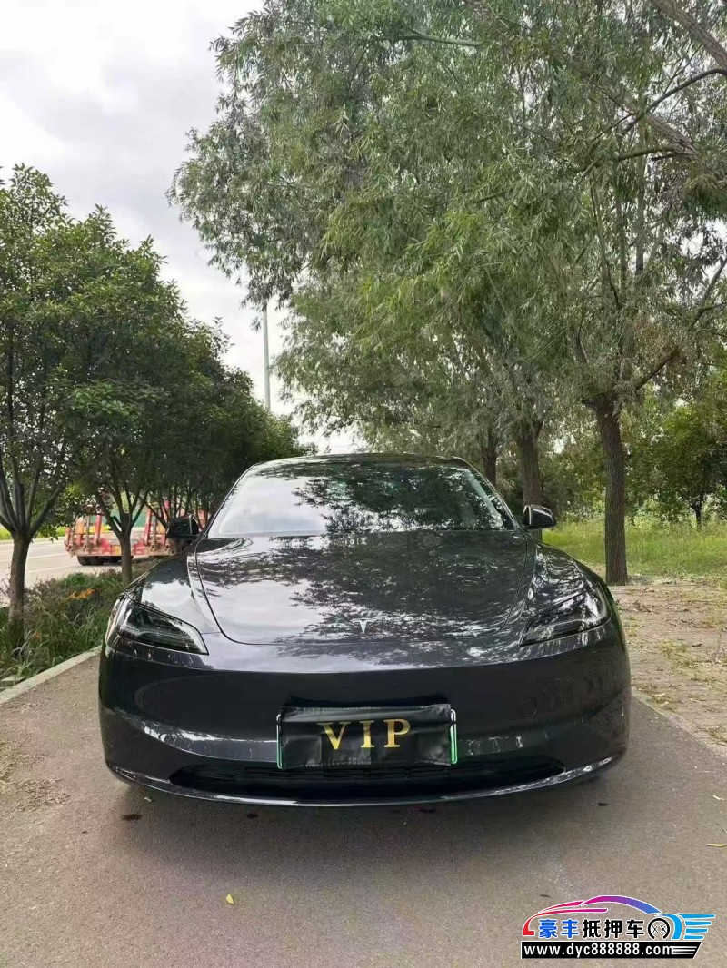 24年特斯拉MODEL 3轿车抵押车出售