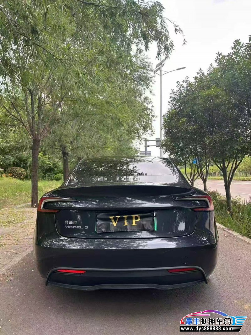 24年特斯拉MODEL 3轿车抵押车出售