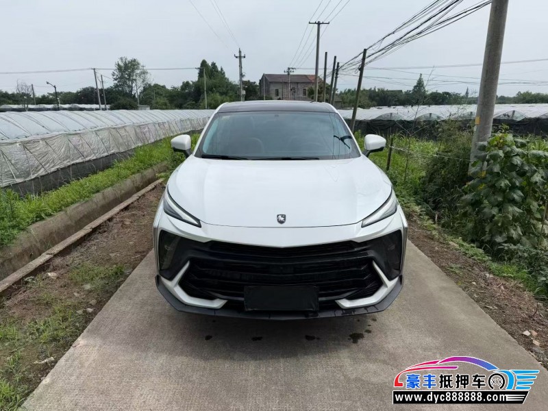 25年东风风行T5轿车