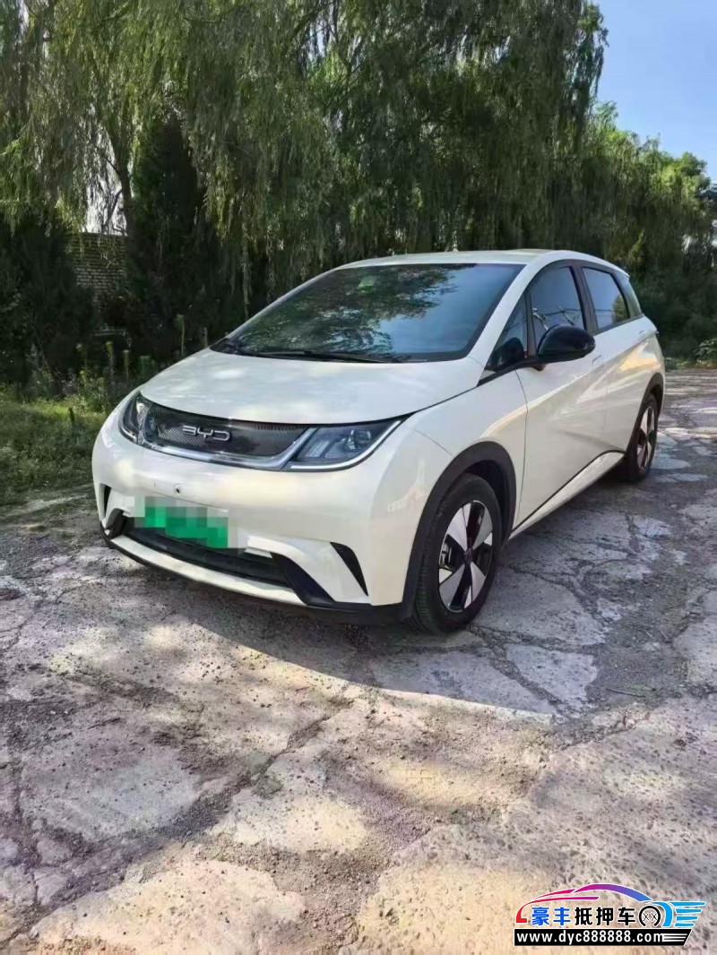 23年比亚迪海豚轿车抵押车出售
