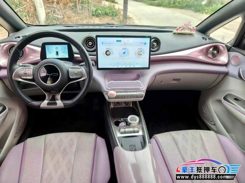 23年比亚迪海豚轿车抵押车出售
