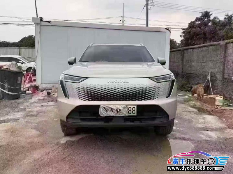 23年长城哈佛枭龙轿车抵押车出售