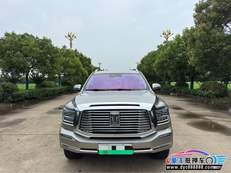24年WEY坦克500轿车抵押车出售