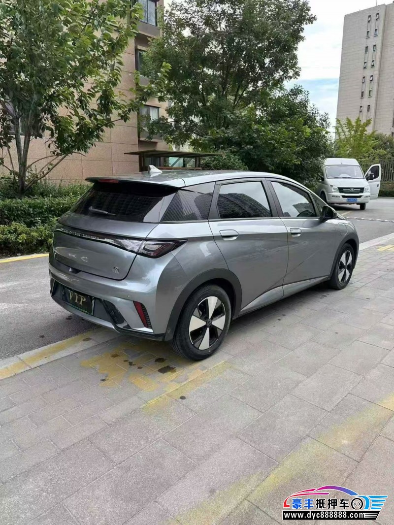 24年比亚迪海豚轿车抵押车出售