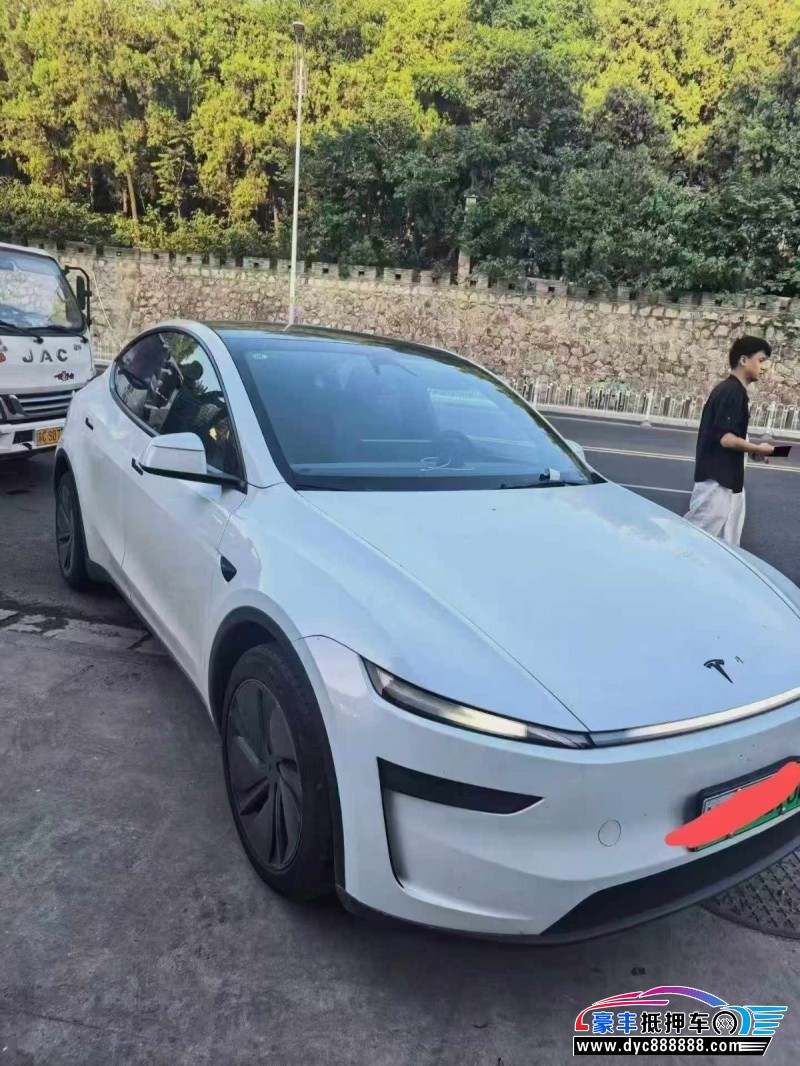26年特斯拉Model Y轿车抵押车出售