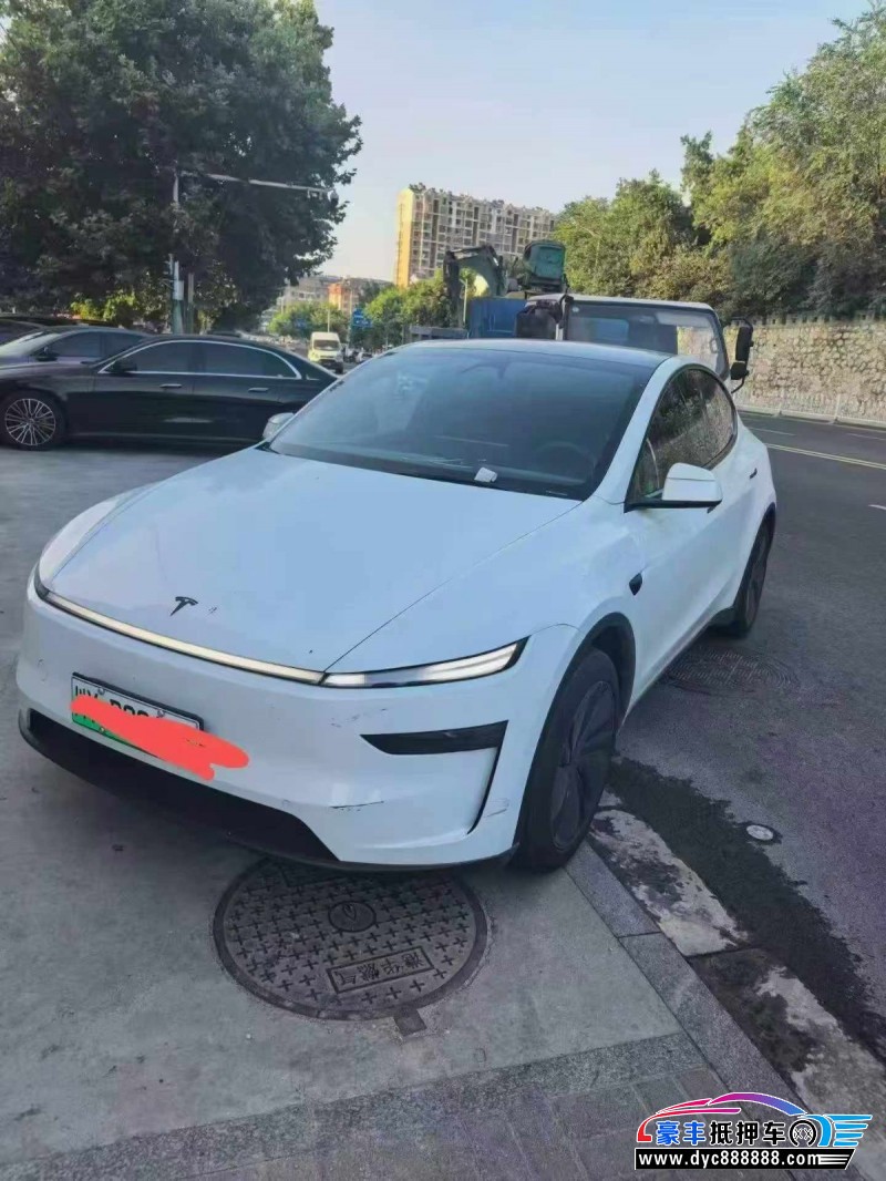 26年特斯拉Model Y轿车抵押车出售