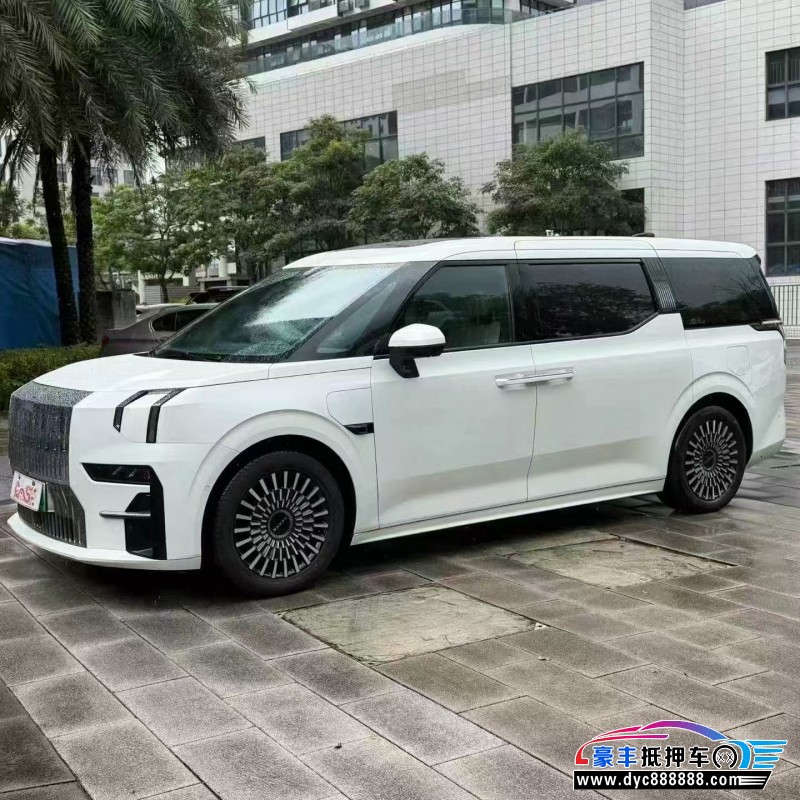 23年极氪009轿车抵押车出售