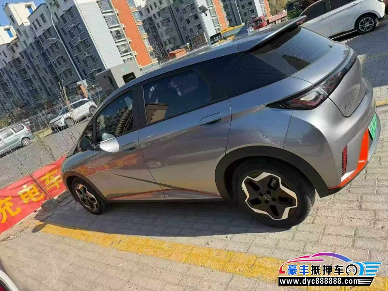 22年比亚迪海豚轿车抵押车出售