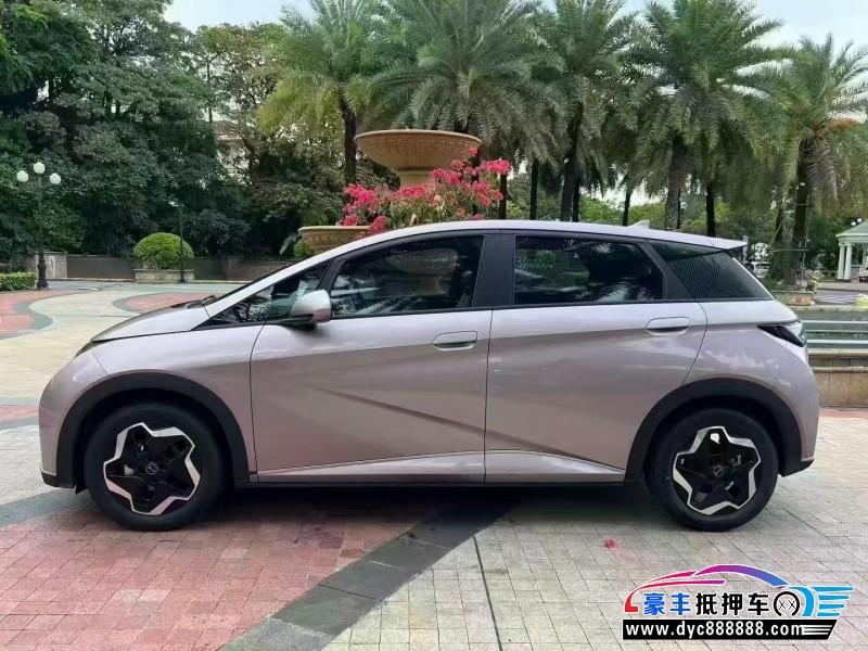 23年比亚迪海豚轿车抵押车出售