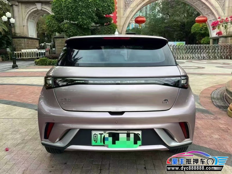 23年比亚迪海豚轿车抵押车出售