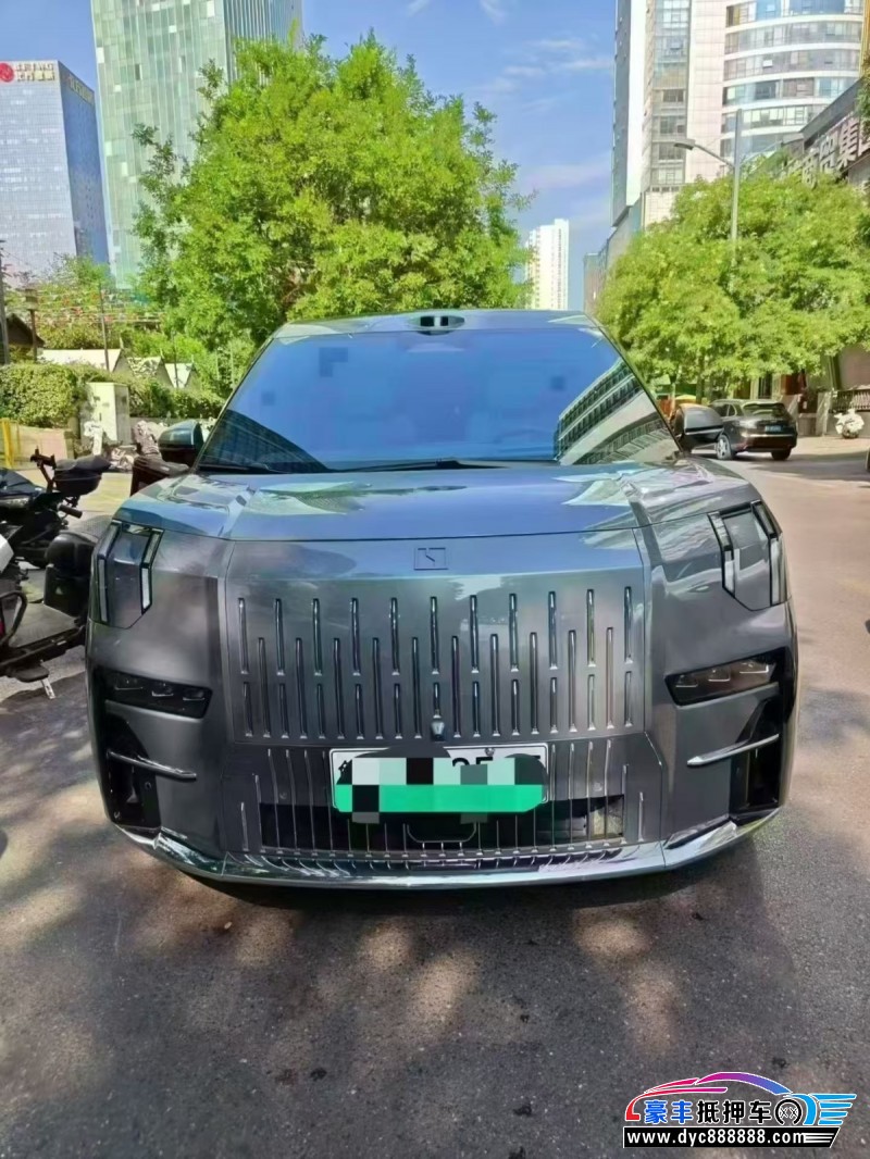 抵押车出售24年极氪009轿车