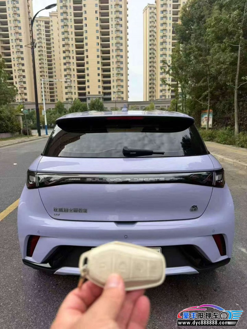 23年比亚迪海豚轿车抵押车出售