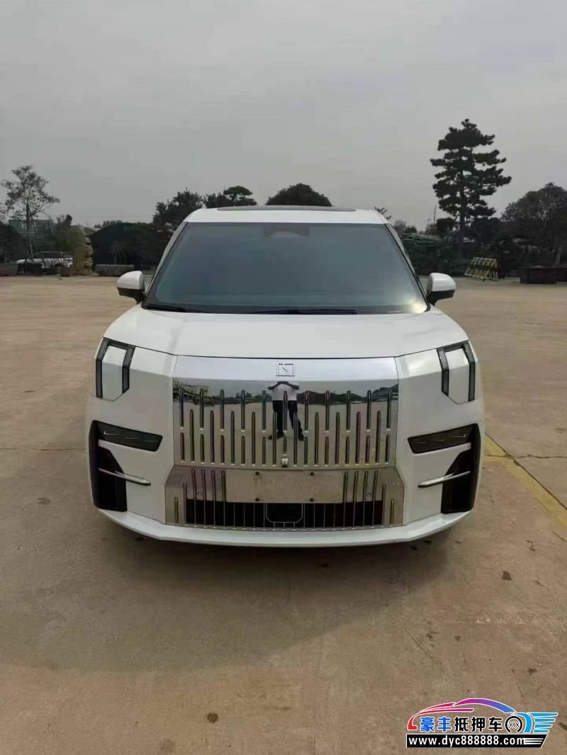 23年极氪009轿车抵押车出售
