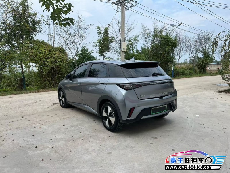 23年比亚迪海豚轿车抵押车出售
