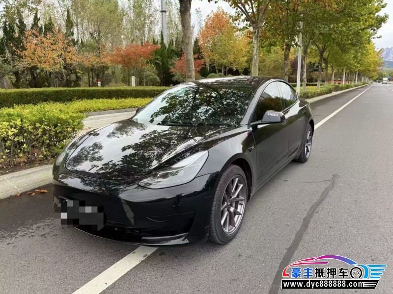 22年特斯拉MODEL 3轿车抵押车出售
